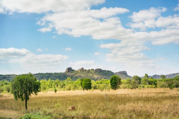 From Darwin: Kakadu Wilderness Escape Day Tour - Optional Crocodile Jumping Cruise