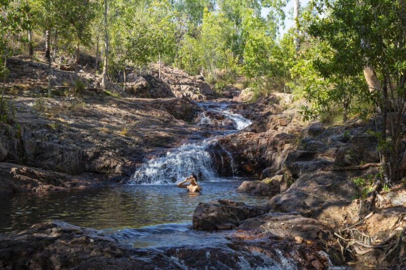 From Darwin: Litchfield National Park Day Trip - Key Points