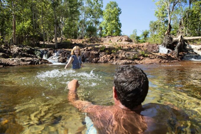 From Darwin: Litchfield National Park Full Day Tour - Tour Operator and Booking