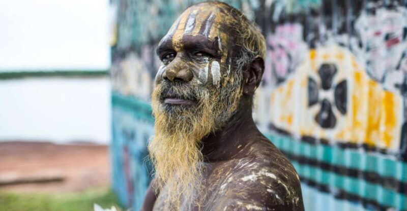 From Darwin: Tiwi Islands Cultural Day Tour by Ferry - Key Points