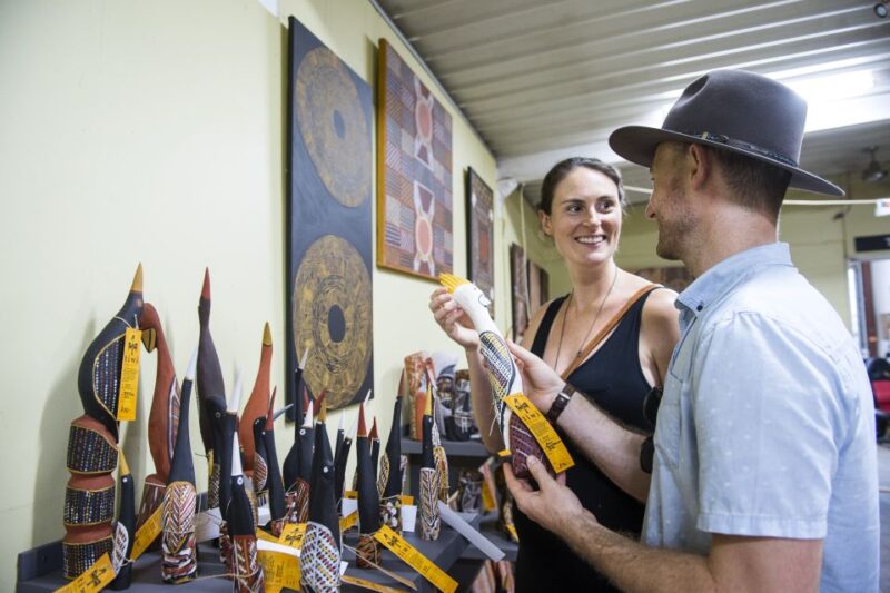 From Darwin: Tiwi Islands Cultural Day Tour by Ferry - Accessibility