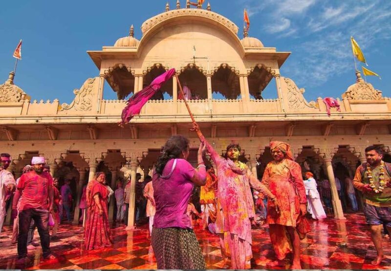 From Delhi: 1-Day Trip Mathura With Elephant Conservation - Inclusions and Exclusions