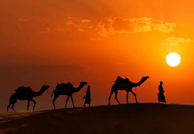 From Delhi : 13 Days Delhi, Agra, and Rajasthan Tour by Car - Key Points