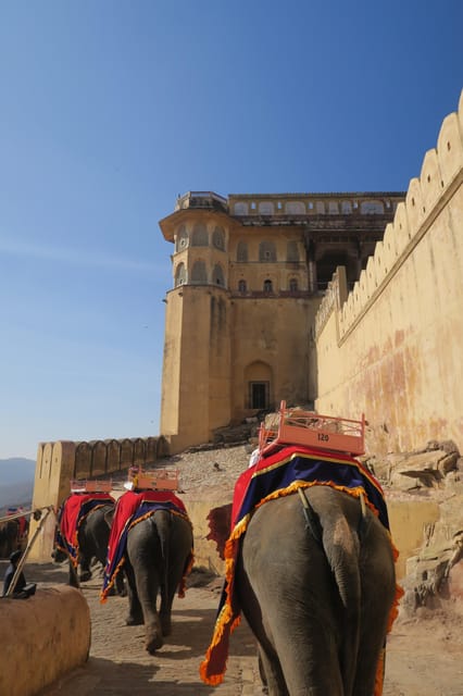 From Delhi: 2-Day Private Jaipur Pink City Tour - Recap