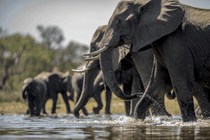 From Delhi 2 Days Taj Mahal Tour With Wildlife SOS Elephants - Pricing and Availability