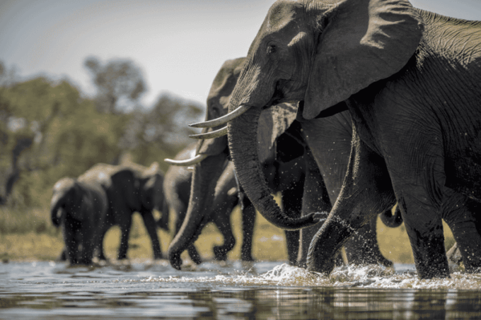 From Delhi 2 Days Taj Mahal Tour With Wildlife SOS Elephants - Cancellation Policy