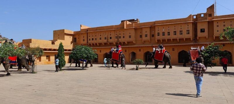 From Delhi: 3-Day Luxury Golden Triangle Tour With Hotels - Included Services