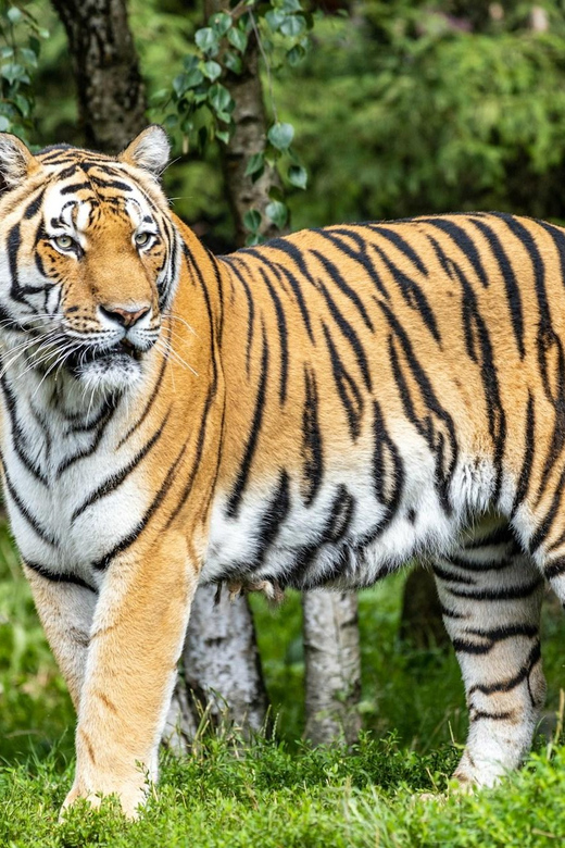 From Delhi: 3-Day Ranthambore National Park Tour - Itinerary Details