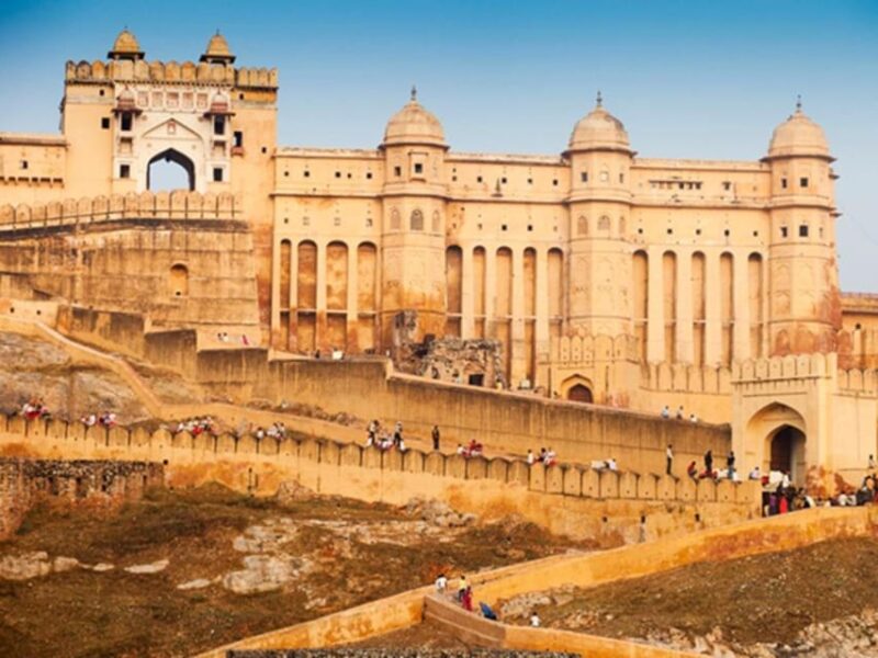 From Delhi: 3-Days Jaipur & Ranthambore Wildlife Safari Tour - Safari Experiences