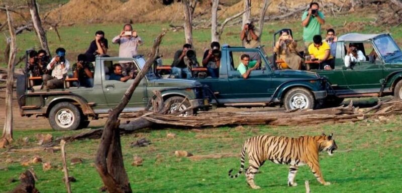 From Delhi: 4-Day Golden Triangle & Ranthambore Tiger Safari - Key Points