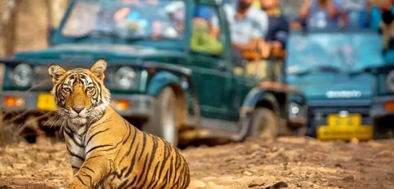 From Delhi: 4-Day Golden Triangle & Ranthambore Tiger Safari - Itinerary Highlights
