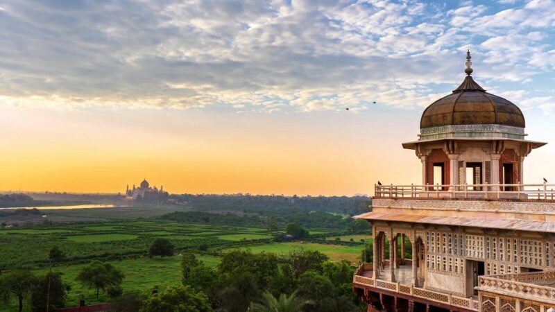 From Delhi: 5-Day Tiger Safari & Golden Triangle Tour - Key Points