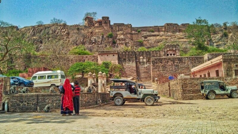 From Delhi: 6-Day Golden Triangle Tour With Tiger Safari - Pickup and Drop-off