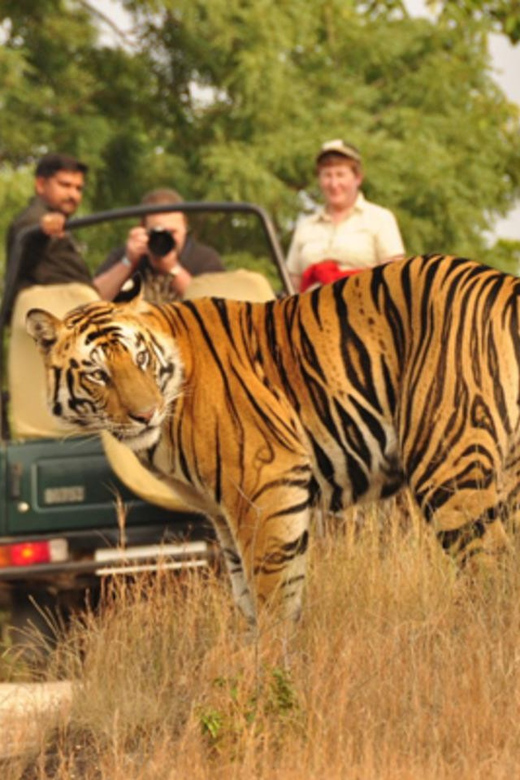From Delhi : 6 Days Delhi, Jaipur, Agra & Ranthambore By Car - Key Points