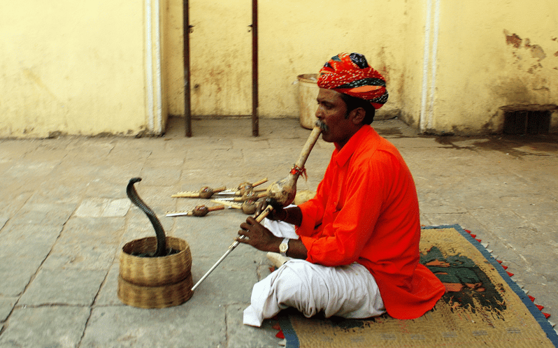 From Delhi: 7-Day Golden Triangle Jodhpur Udaipur Tour - Key Points