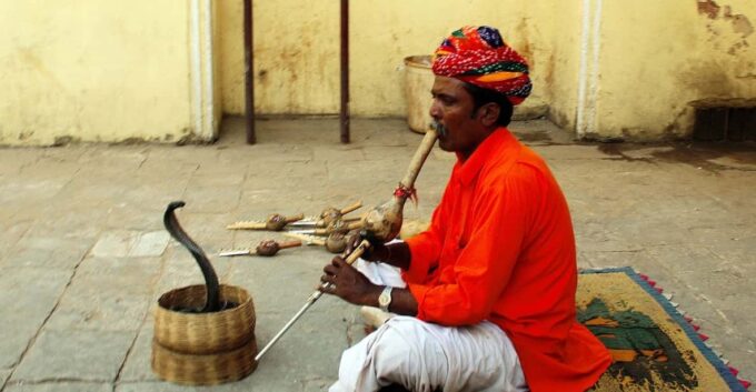 From Delhi: 7-Day Golden Triangle Jodhpur Udaipur Tour - Day 5: Jodhpur to Udaipur