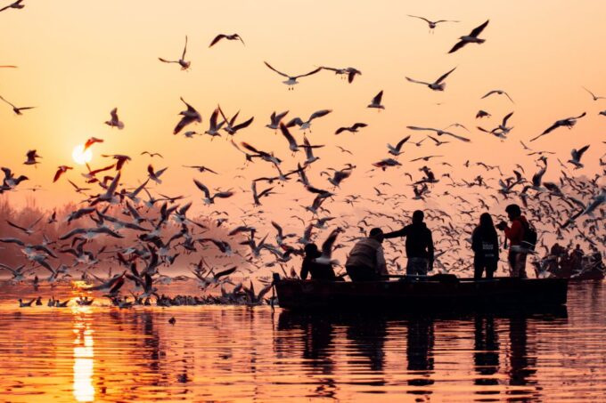 From Delhi: 7-Day Private Golden Triangle Trip to Varanasi - Accommodation and Meals