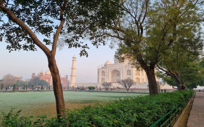 From Delhi: 7 Days Golden Triangle Tour With Ranthambore - Delhi Sightseeing