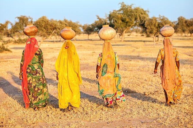 From Delhi: 8 Day Tiger Safari and Golden Triangle Tour - Included Amenities