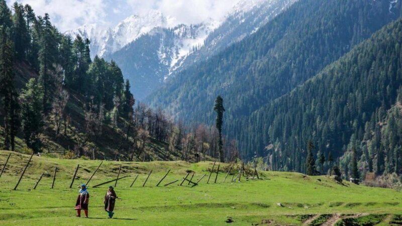From Delhi: Agra, Srinagar & Kashmir Halal Tour 5 Days - Accessibility and Highlights