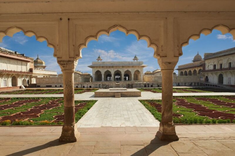 From Delhi: Delhi, Agra, and Jaipur 3-Day Guided Trip - Language and Accessibility