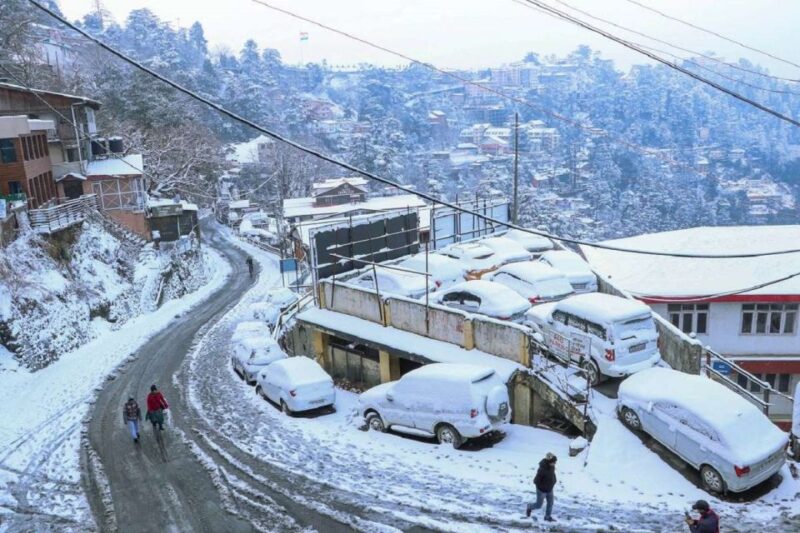 From Delhi: Delhi to Shimla Kufri Tour Package - Key Points