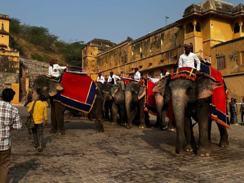 From Delhi : Full Day Jaipur Sightseeing Tour & Return Delhi - Inclusions and Requirements