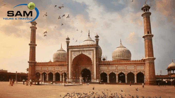 From Delhi : India Tour for 7 Days - Inclusions and Complimentary Services