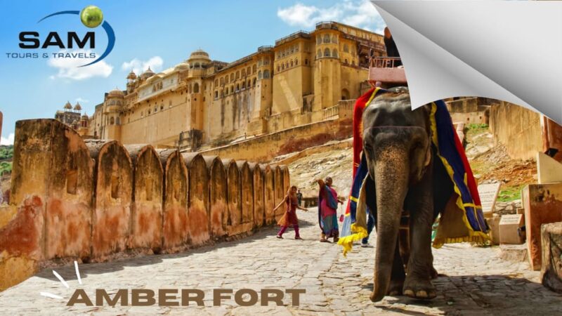 From Delhi: India Tour Package 6 Days - Booking Information