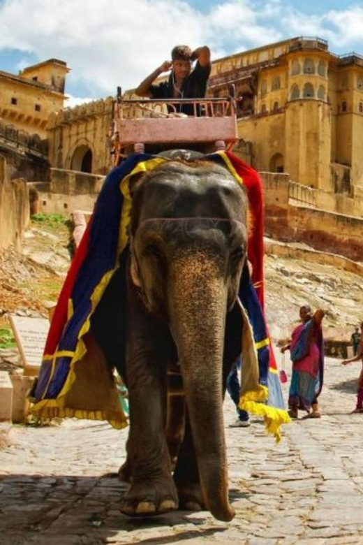 From Delhi: Jaipur City Historical Full-Day Tour by AC Car - Included Services