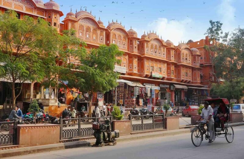 From Delhi: Jaipur Day Trip by Private Car - Inclusions in the Package