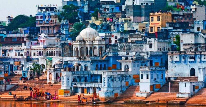 From Delhi: Jaipur Pushkar & Ranthambore Tour - Itinerary Highlights