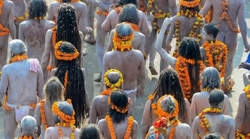 From Delhi: Kumbh Mela Tour With Taj Mahal - Key Points