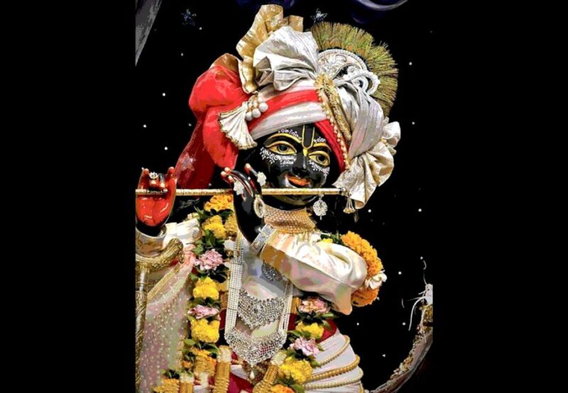 From Delhi: Private 1-day Mathura and Vrindavan Tour by Car - Morning Pickup and Travel Time