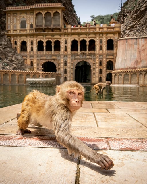 From Delhi: Private 5-Day Golden Triangle Tour - Availability and Booking