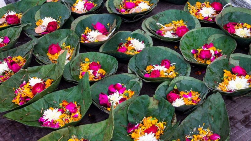 From Delhi: Private Day Tour to Haridwar and Rishikesh - Inclusions and Exclusions