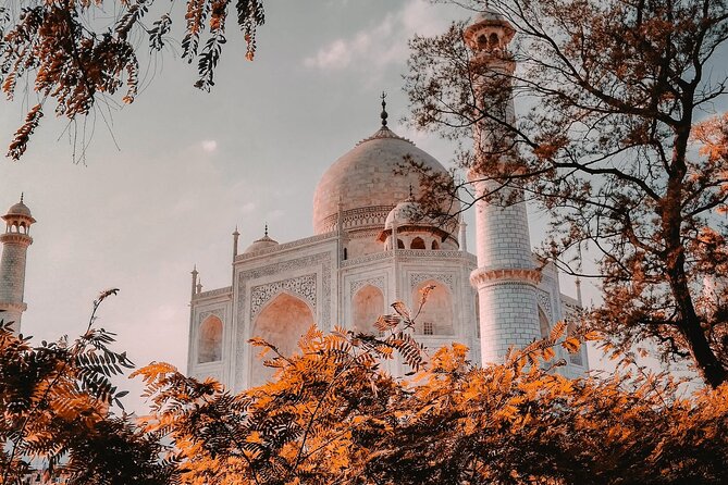 From Delhi : Private Day Trip to Taj Mahal & Agra Fort by Car - All Inclusive - Professional Tour Guide