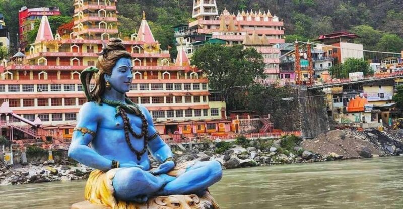 From Delhi: Private Guided Day Trip to Haridwar & Rishikesh - Included Services