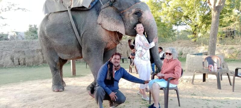 From Delhi: Private Luxury 6-Day Golden Triangle Guided Tour - Pickup and Accommodation