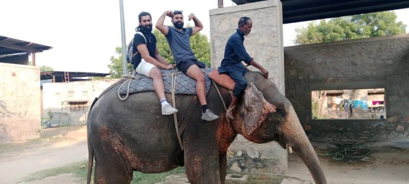 From Delhi: Private Luxury 6-Day Golden Triangle Guided Tour - Delhi Sightseeing