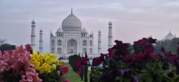 From Delhi : Private Sunrise Taj Mahal Day Tour By Car - 24/7 Support