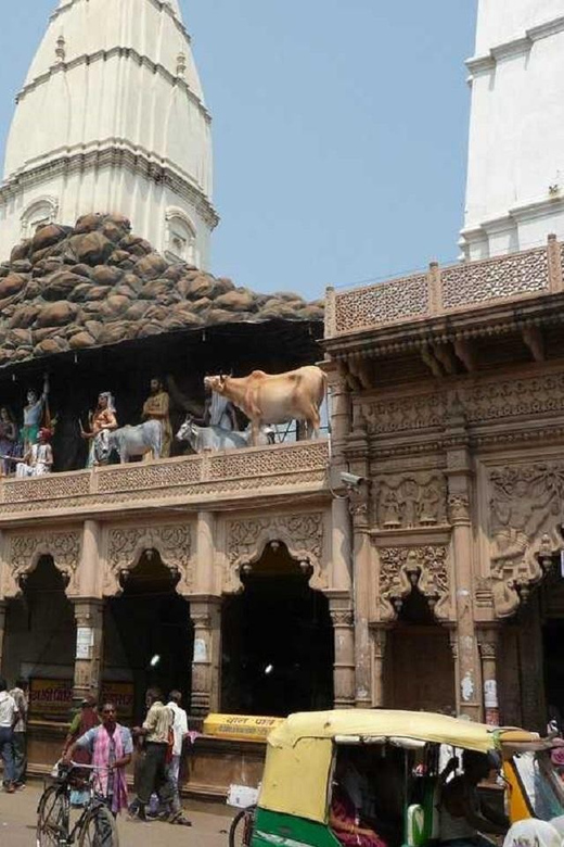 From Delhi: Private Taj Mahal and Mathura & Vrindavan Tour - Important Information
