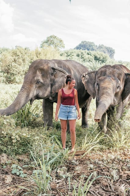 From Delhi: Sunrise Taj Mahal and Elephant Wildlife SOS Tour - Inclusions and Exclusions