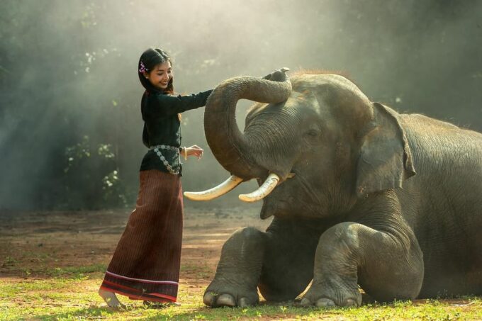 From Delhi: Sunrise Taj Mahal and Elephant Wildlife SOS Tour - Discovering the Taj Mahal