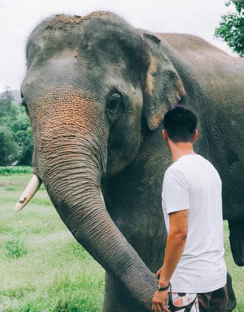 From Delhi: Sunrise Taj Mahal and Elephant Wildlife SOS Tour - Recap