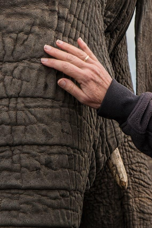 From Delhi: Sunrise Taj Mahal and Elephant Wildlife SOS Tour - Transportation and Accessibility