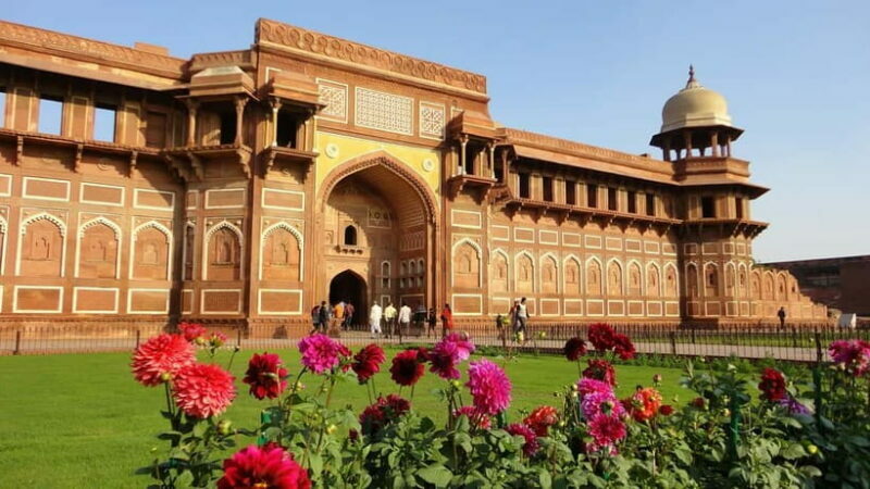 From Delhi: Sunrise Taj Mahal Tour With Elephant SOS - Key Points