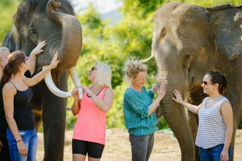 From Delhi: Sunrise Taj Mahal Tour With Elephant SOS - The Itinerary: What to Expect on This Full-Day Adventure