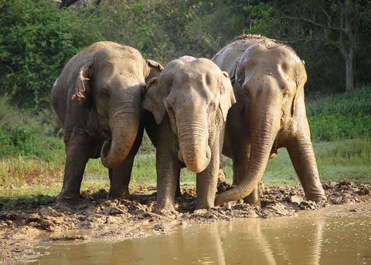 From Delhi: Taj Mahal Agra With Elephant Conservation Tour - Itinerary Highlights