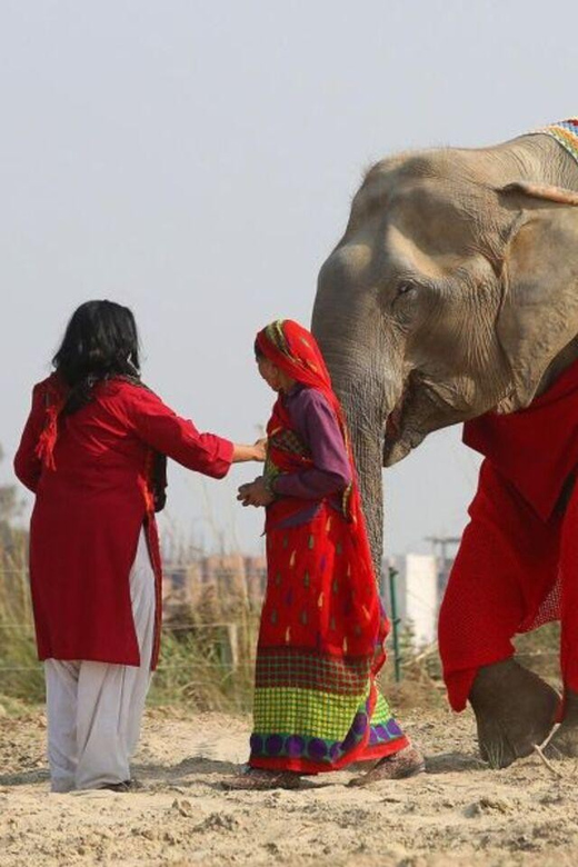 From Delhi: Taj Mahal Agra With Elephant Conservation Tour - Transportation and Accessibility